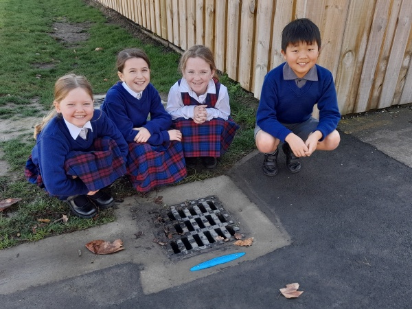 Fish on drains St Albans 1